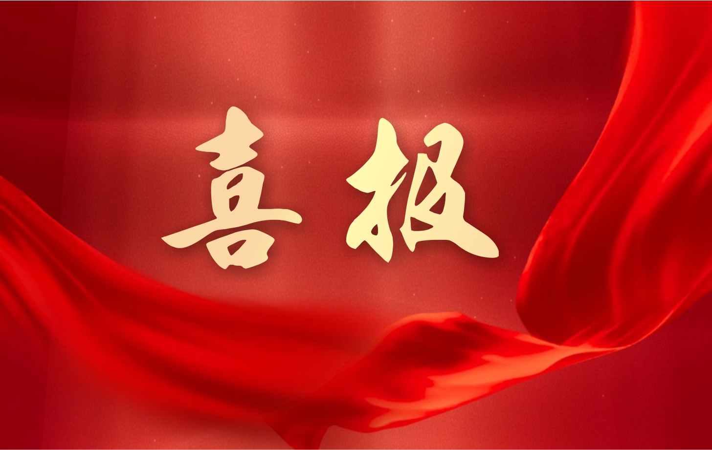 營(yíng)收凈利雙增長(zhǎng)！依頓電子2025年一季度經(jīng)營(yíng)業(yè)績(jī)續(xù)寫(xiě)高質(zhì)量發(fā)展華章